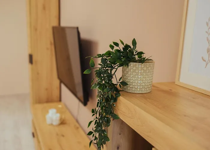 двокімнатні на площі ринок 利沃夫